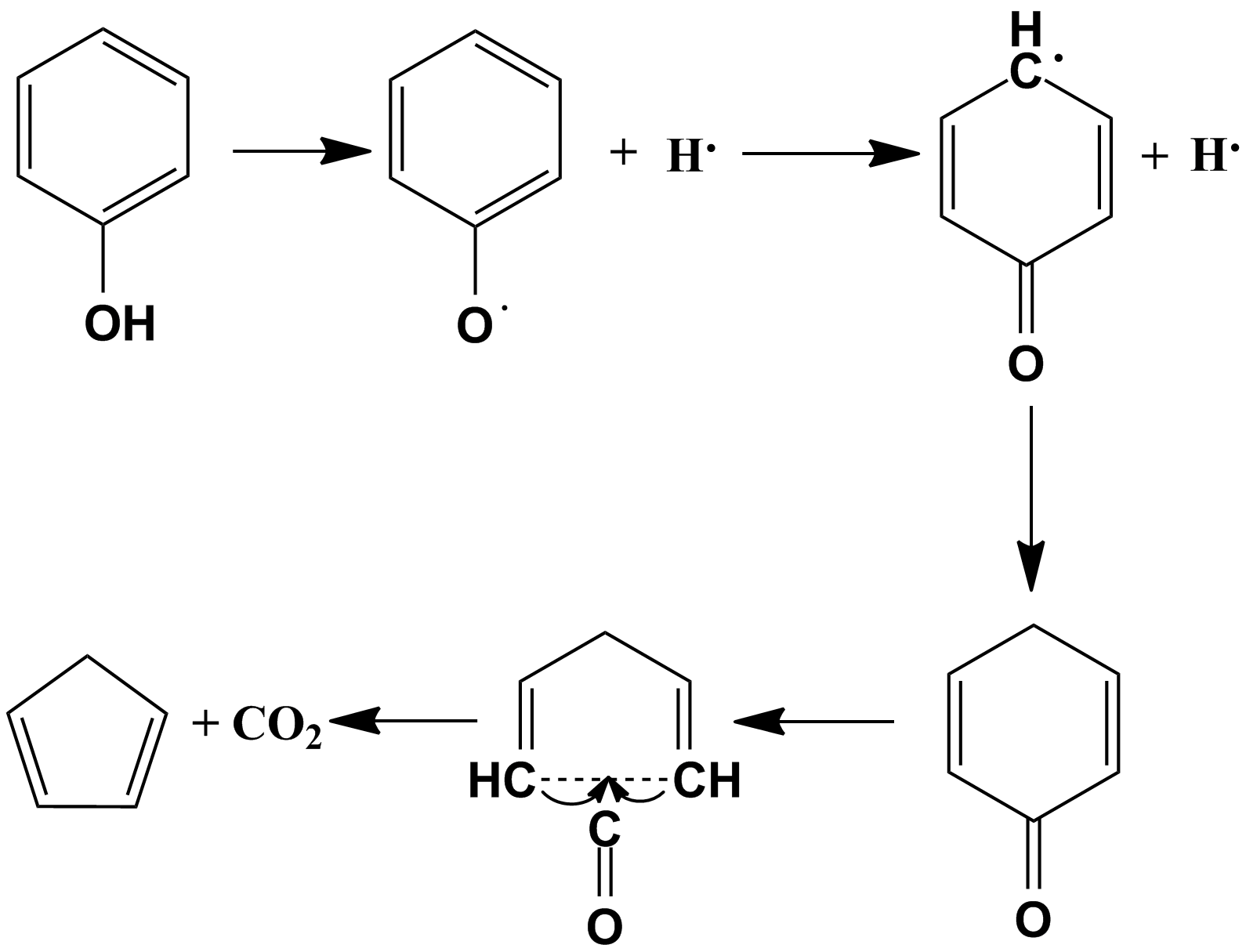 55:  苯酚氧失去一个电子后,成酚氧离子,经过烯醇重排,形成含羰基结构