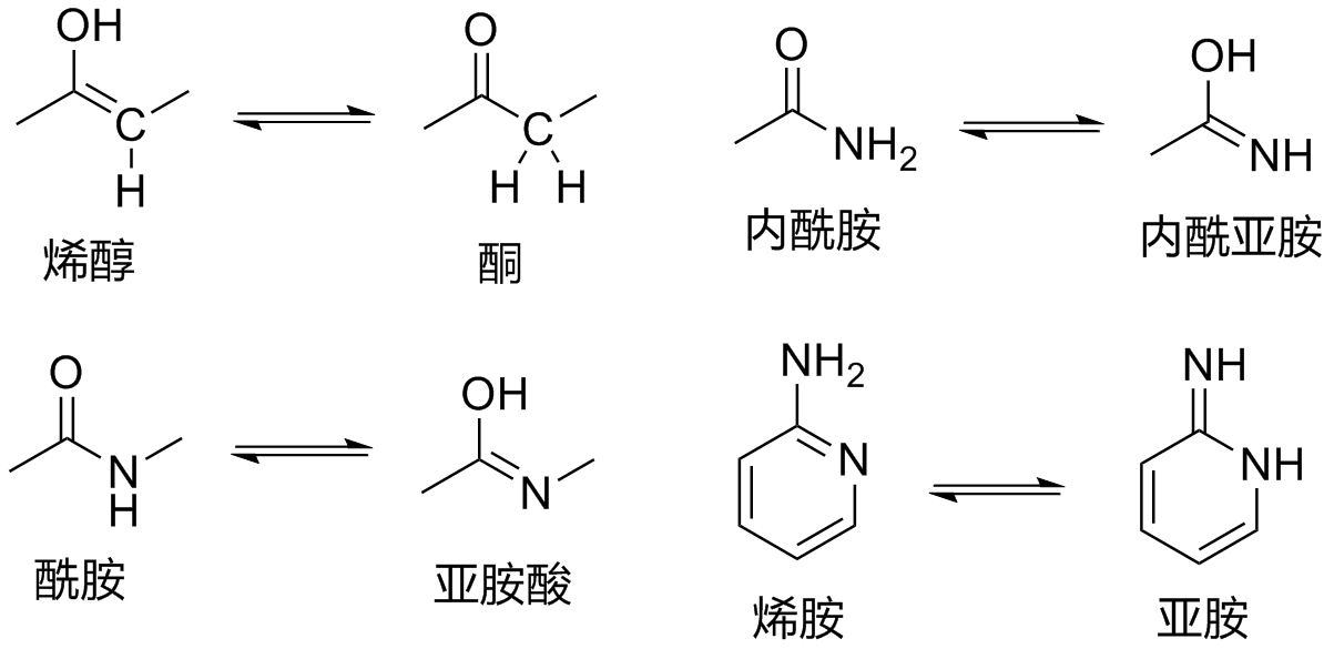 立体异构体举例图片