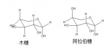 求助阿拉伯糖和木糖的椅式構象