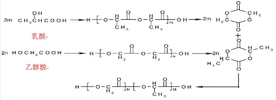 请教plga高聚物分子链是交联的还是支化的