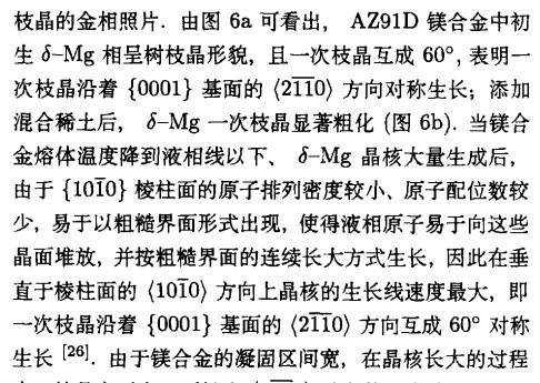 關於密排六方晶體枝晶生長方向問題 - 金屬 - 鑄造 - 小木蟲論壇-學術