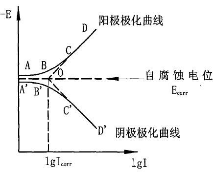 问一个关于腐蚀的电化学问题用恒电位仪怎么测数据画出极化曲线