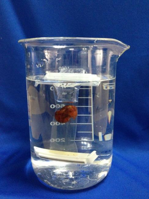 美国spectrumlabs透析袋专用夹