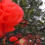 <font color=#ff1188>sailing788</font>