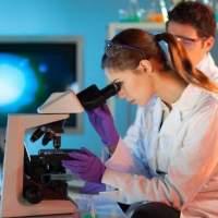 <font color=#ff1188>freebirdgo</font>